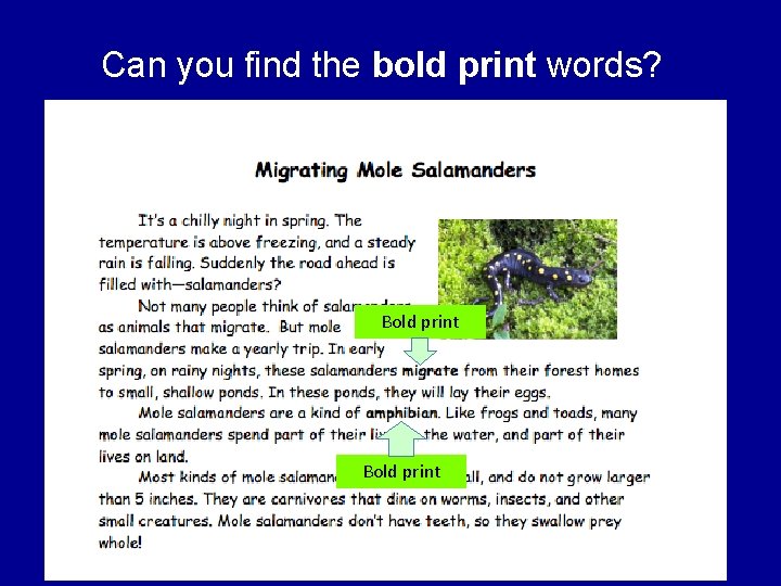 Can you find the bold print words? Bold print 