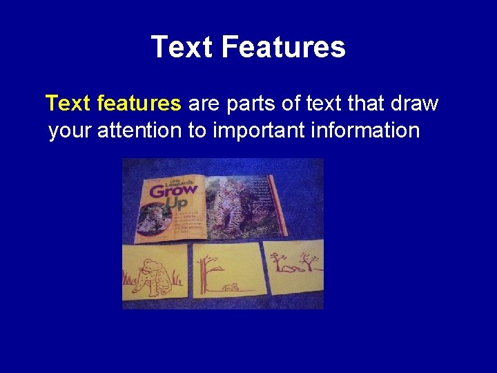 Text Features Text features are parts of text that draw your attention to important