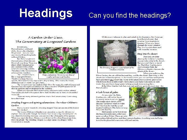 Headings Can you find the headings? 