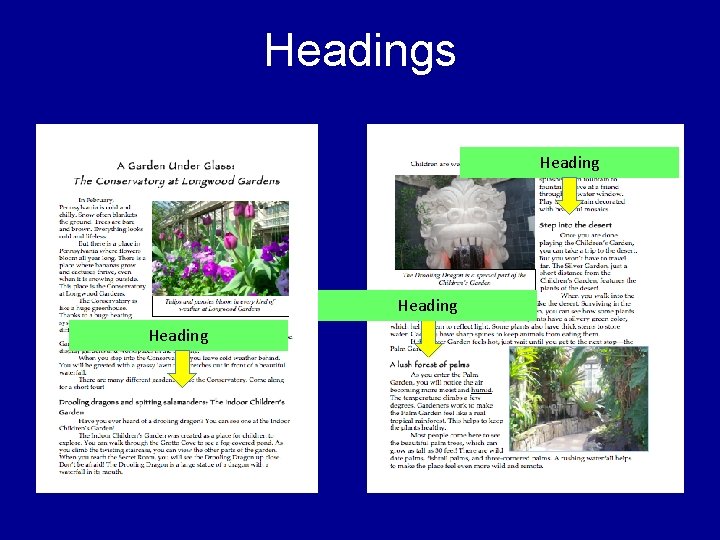 Headings Heading Headings Heading