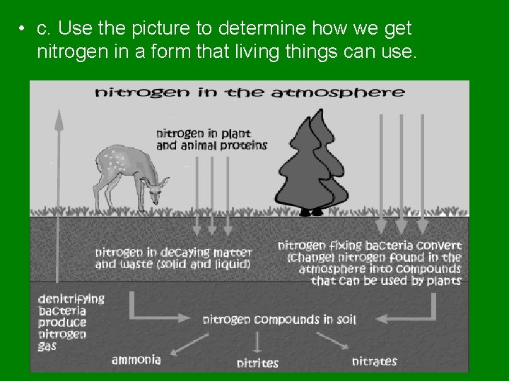  • c. Use the picture to determine how we get nitrogen in a