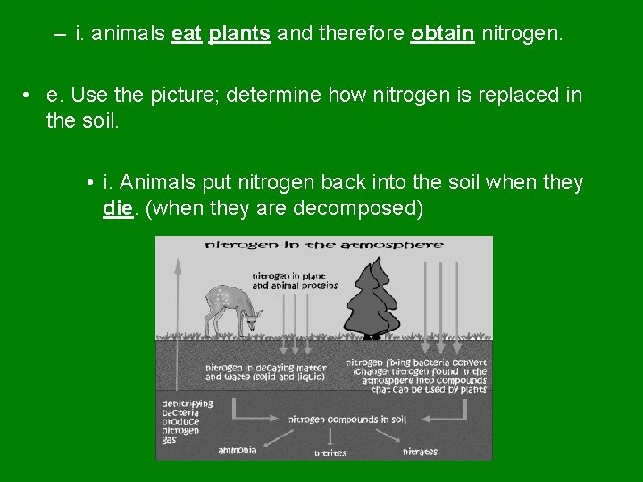 – i. animals eat plants and therefore obtain nitrogen. • e. Use the picture;