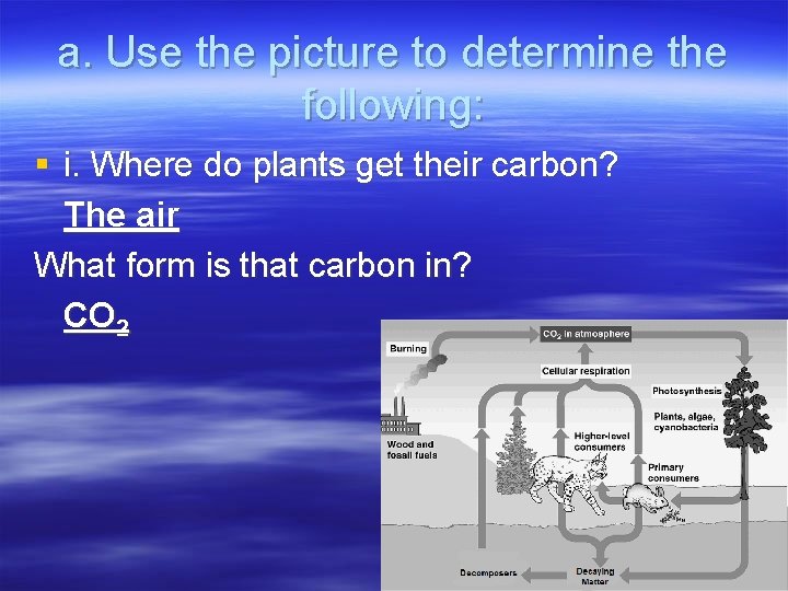 a. Use the picture to determine the following: § i. Where do plants get