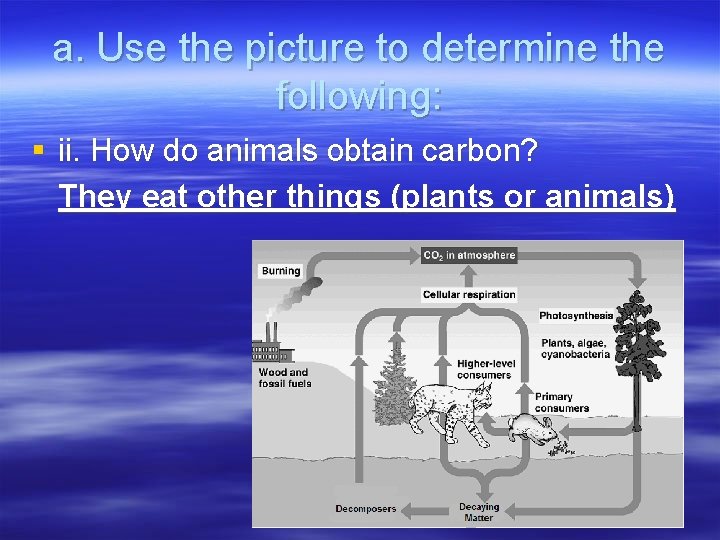 a. Use the picture to determine the following: § ii. How do animals obtain