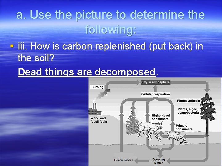 a. Use the picture to determine the following: § iii. How is carbon replenished