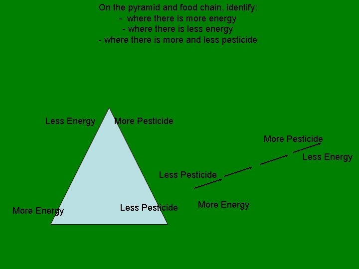 On the pyramid and food chain, identify: - where there is more energy -