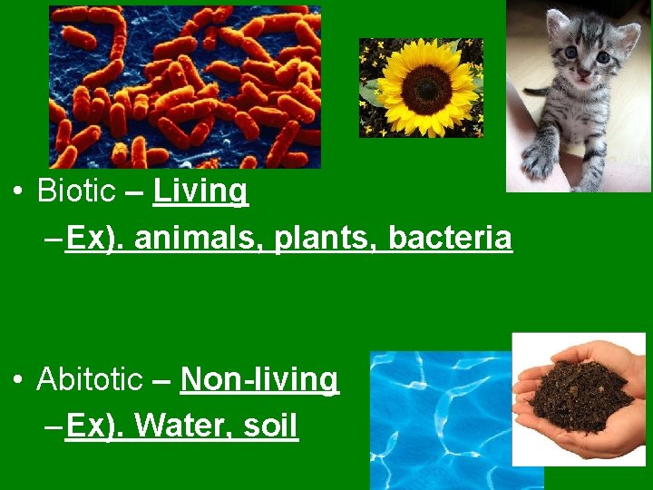  • Biotic – Living – Ex). animals, plants, bacteria • Abitotic – Non-living