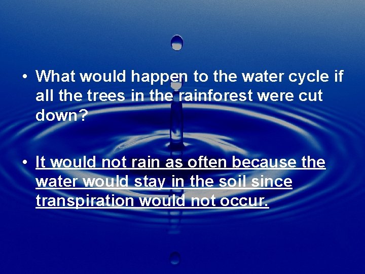  • What would happen to the water cycle if all the trees in