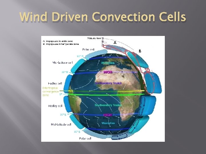 Wind Driven Convection Cells 