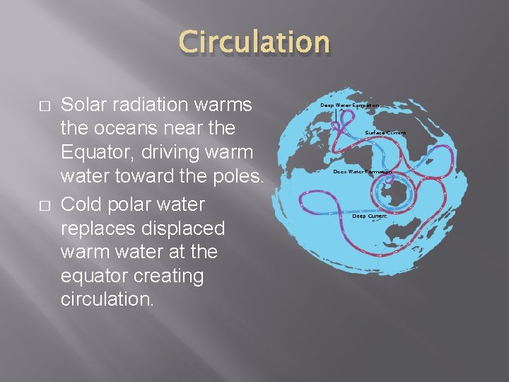Circulation � � Solar radiation warms the oceans near the Equator, driving warm water