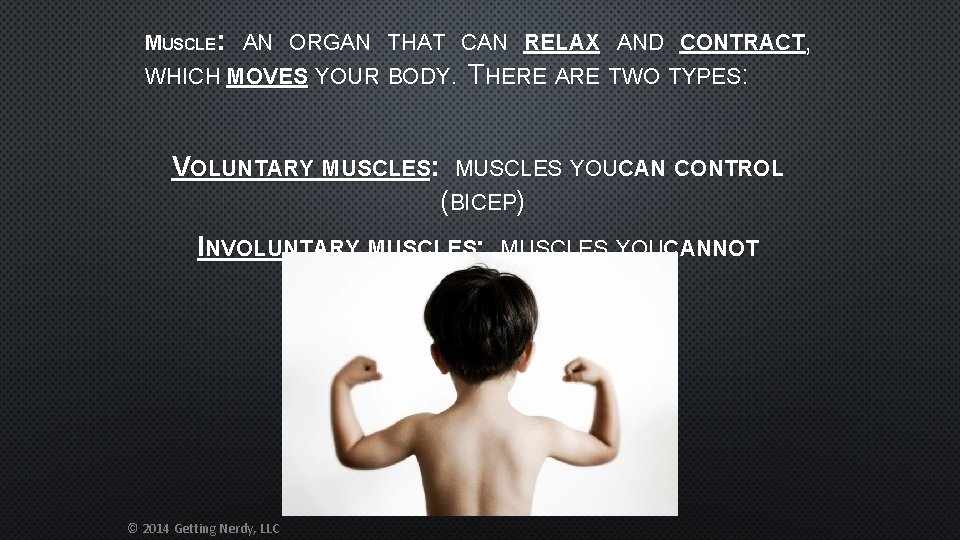 MUSCLE: AN ORGAN THAT CAN RELAX AND CONTRACT, WHICH MOVES YOUR BODY. VOLUNTARY MUSCLES: