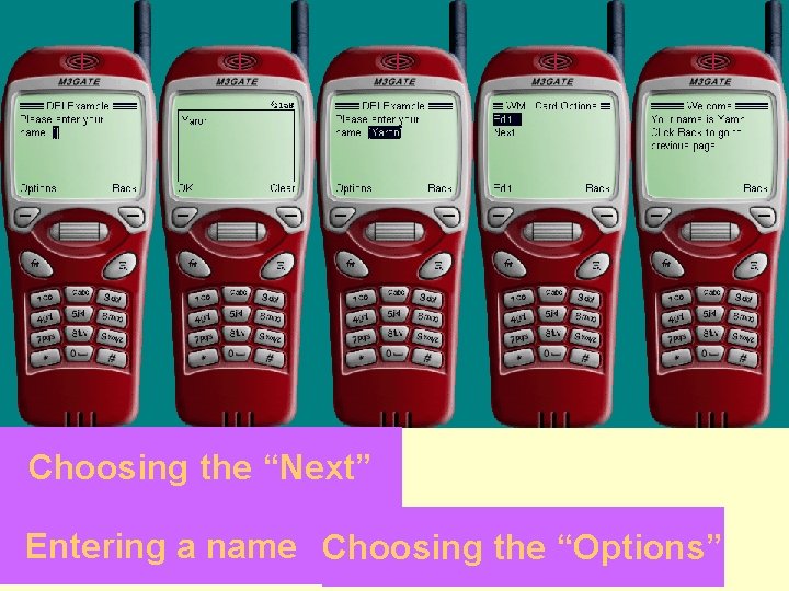 Choosing the “Next” Entering a name Choosing the “Options” 