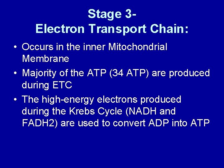 Stage 3 Electron Transport Chain: • Occurs in the inner Mitochondrial Membrane • Majority