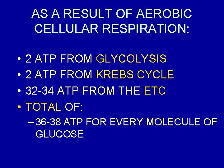 AS A RESULT OF AEROBIC CELLULAR RESPIRATION: • • 2 ATP FROM GLYCOLYSIS 2