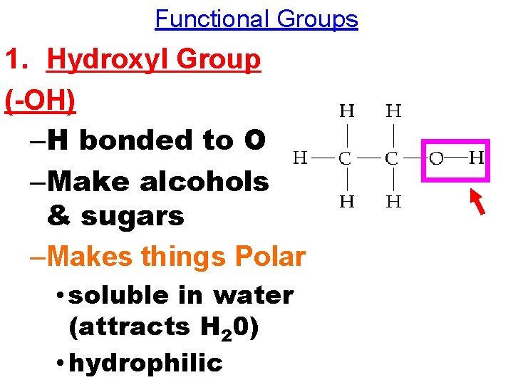 Functional Groups 1. Hydroxyl Group (-OH) –H bonded to O –Make alcohols & sugars Functional Groups 1. Hydroxyl Group (-OH) –H bonded to O –Make alcohols & sugars