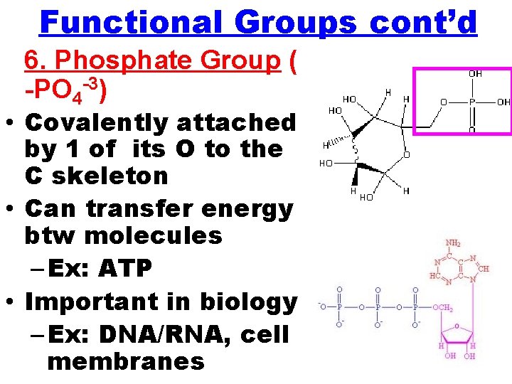 Functional Groups cont’d 6. Phosphate Group ( -PO 4 -3) • Covalently attached by Functional Groups cont’d 6. Phosphate Group ( -PO 4 -3) • Covalently attached by