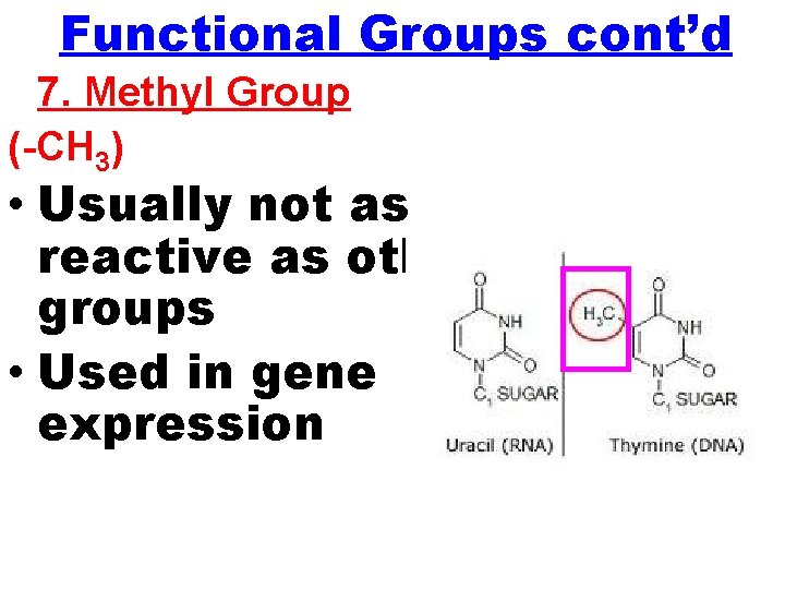 Functional Groups cont’d 7. Methyl Group (-CH 3) • Usually not as reactive as Functional Groups cont’d 7. Methyl Group (-CH 3) • Usually not as reactive as