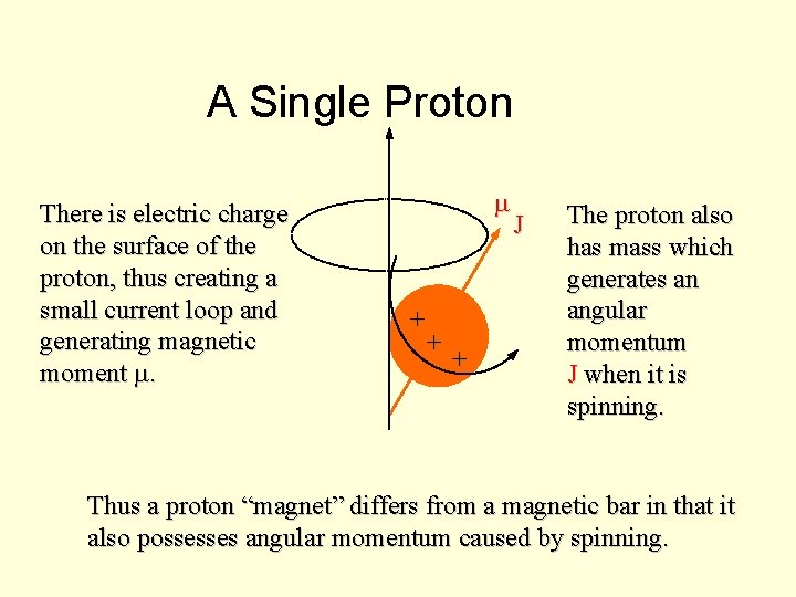 A Single Proton There is electric charge on the surface of the proton, thus