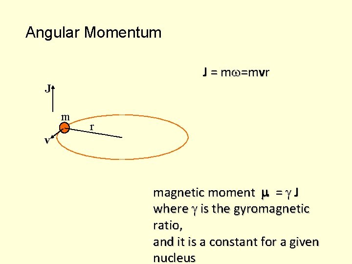 Angular Momentum J = m v r J m r v magnetic moment =