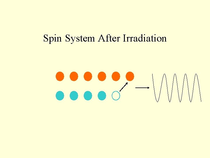 Spin System After Irradiation 