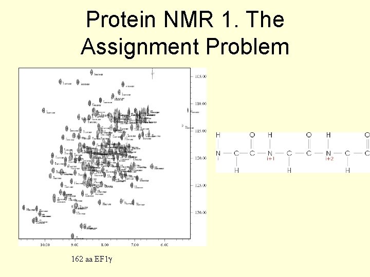 Protein NMR 1. The Assignment Problem 162 aa EF 1 