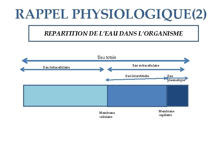 RAPPEL PHYSIOLOGIQUE(2) REPARTITION DE L’EAU DANS L’ORGANISME Eau totale Eau extracellulaire Eau Interstitielle Membrane