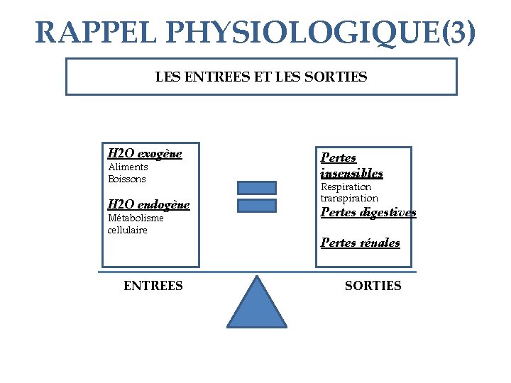 RAPPEL PHYSIOLOGIQUE(3) LES ENTREES ET LES SORTIES H 2 O exogène Aliments Boissons H