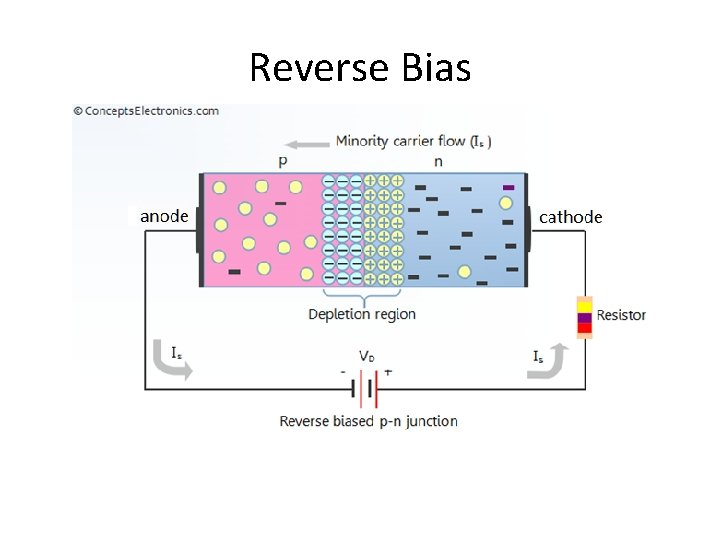 Reverse Bias 