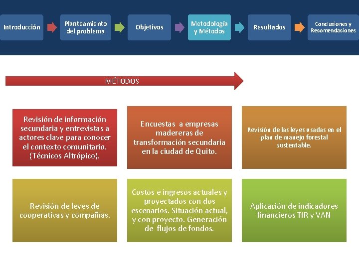 Introducción Planteamiento del problema Objetivos Metodología y Métodos Resultados Conclusiones y Recomendaciones MÉTODOS Revisión