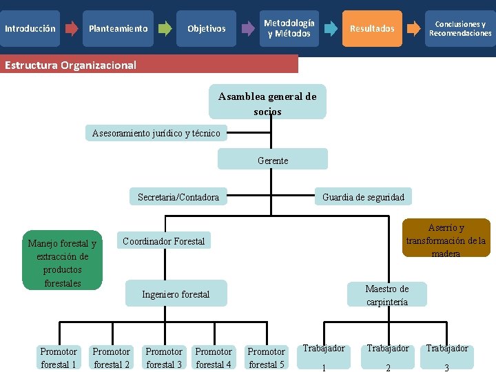 Introducción Planteamiento Objetivos Metodología y Métodos Conclusiones y Recomendaciones Resultados Estructura Organizacional Asamblea general