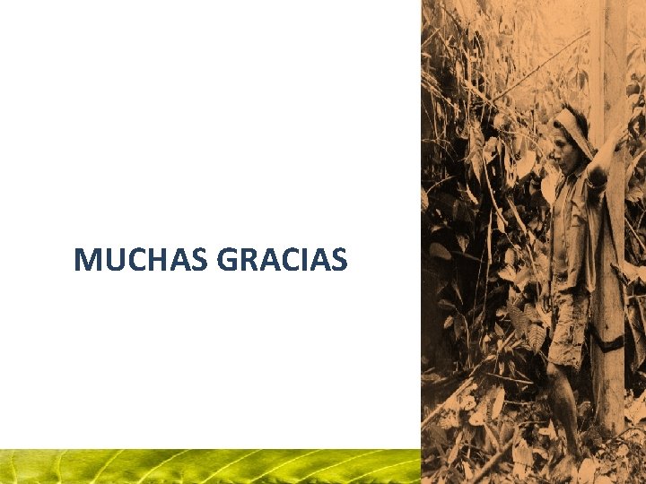 MUCHAS GRACIAS 