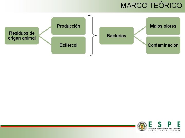 MARCO TEÓRICO Producción Residuos de origen animal Malos olores Bacterias Estiércol Contaminación 