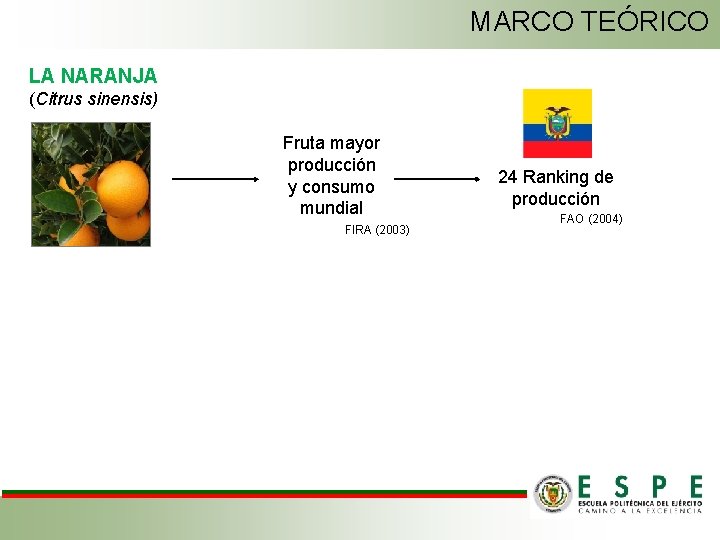 MARCO TEÓRICO LA NARANJA (Citrus sinensis) Fruta mayor producción y consumo mundial FIRA (2003)