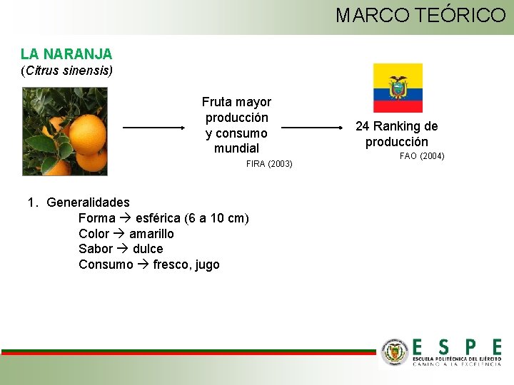MARCO TEÓRICO LA NARANJA (Citrus sinensis) Fruta mayor producción y consumo mundial FIRA (2003)