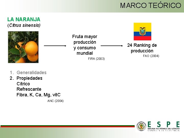 MARCO TEÓRICO LA NARANJA (Citrus sinensis) Fruta mayor producción y consumo mundial FIRA (2003)