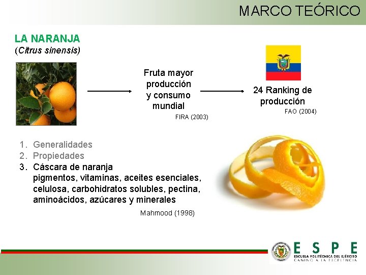 MARCO TEÓRICO LA NARANJA (Citrus sinensis) Fruta mayor producción y consumo mundial FIRA (2003)