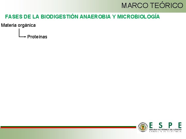 MARCO TEÓRICO FASES DE LA BIODIGESTIÓN ANAEROBIA Y MICROBIOLOGÍA Materia orgánica Proteínas 