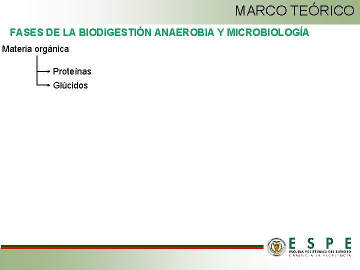 MARCO TEÓRICO FASES DE LA BIODIGESTIÓN ANAEROBIA Y MICROBIOLOGÍA Materia orgánica Proteínas Glúcidos 