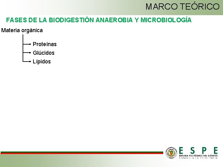 MARCO TEÓRICO FASES DE LA BIODIGESTIÓN ANAEROBIA Y MICROBIOLOGÍA Materia orgánica Proteínas Glúcidos Lípidos