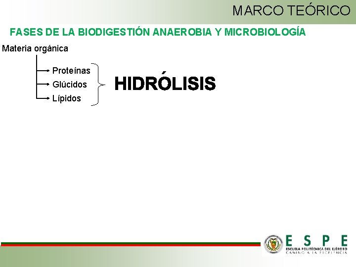 MARCO TEÓRICO FASES DE LA BIODIGESTIÓN ANAEROBIA Y MICROBIOLOGÍA Materia orgánica Proteínas Glúcidos Lípidos