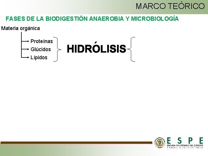 MARCO TEÓRICO FASES DE LA BIODIGESTIÓN ANAEROBIA Y MICROBIOLOGÍA Materia orgánica Proteínas Glúcidos Lípidos