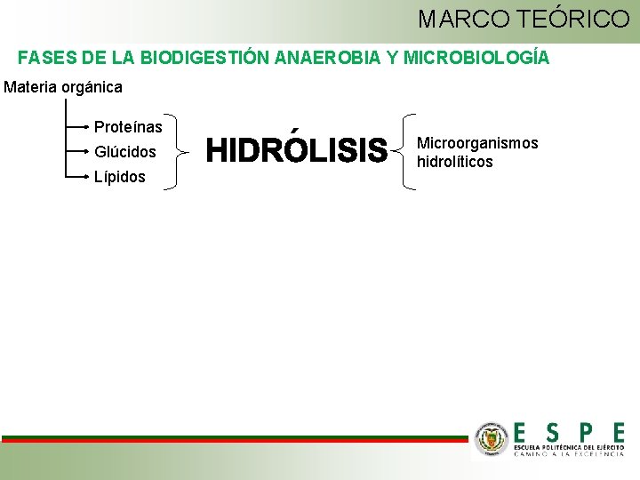 MARCO TEÓRICO FASES DE LA BIODIGESTIÓN ANAEROBIA Y MICROBIOLOGÍA Materia orgánica Proteínas Glúcidos Lípidos