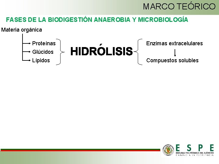 MARCO TEÓRICO FASES DE LA BIODIGESTIÓN ANAEROBIA Y MICROBIOLOGÍA Materia orgánica Proteínas Enzimas extracelulares