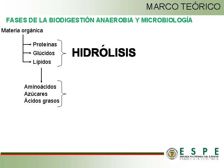 MARCO TEÓRICO FASES DE LA BIODIGESTIÓN ANAEROBIA Y MICROBIOLOGÍA Materia orgánica Proteínas Glúcidos Lípidos