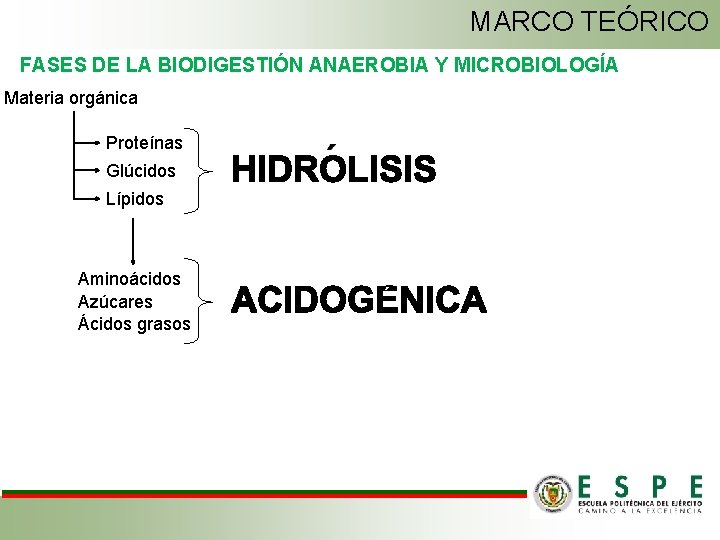MARCO TEÓRICO FASES DE LA BIODIGESTIÓN ANAEROBIA Y MICROBIOLOGÍA Materia orgánica Proteínas Glúcidos Lípidos