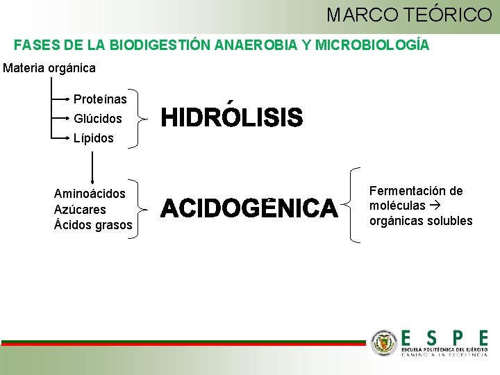 MARCO TEÓRICO FASES DE LA BIODIGESTIÓN ANAEROBIA Y MICROBIOLOGÍA Materia orgánica Proteínas Glúcidos Lípidos