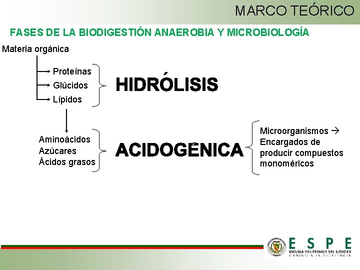 MARCO TEÓRICO FASES DE LA BIODIGESTIÓN ANAEROBIA Y MICROBIOLOGÍA Materia orgánica Proteínas Glúcidos Lípidos