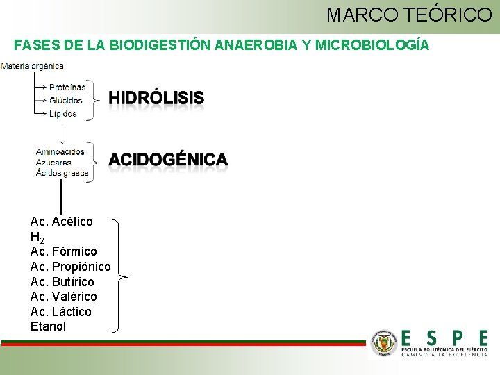 MARCO TEÓRICO FASES DE LA BIODIGESTIÓN ANAEROBIA Y MICROBIOLOGÍA Ac. Acético H 2 Ac.