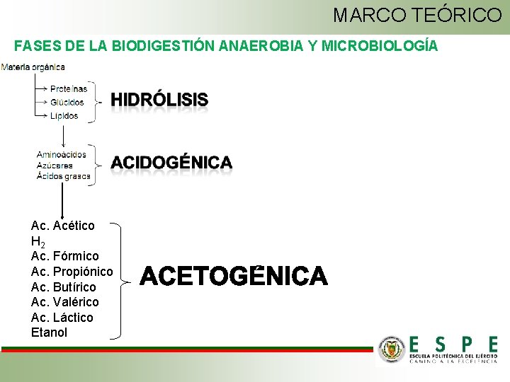 MARCO TEÓRICO FASES DE LA BIODIGESTIÓN ANAEROBIA Y MICROBIOLOGÍA Ac. Acético H 2 Ac.