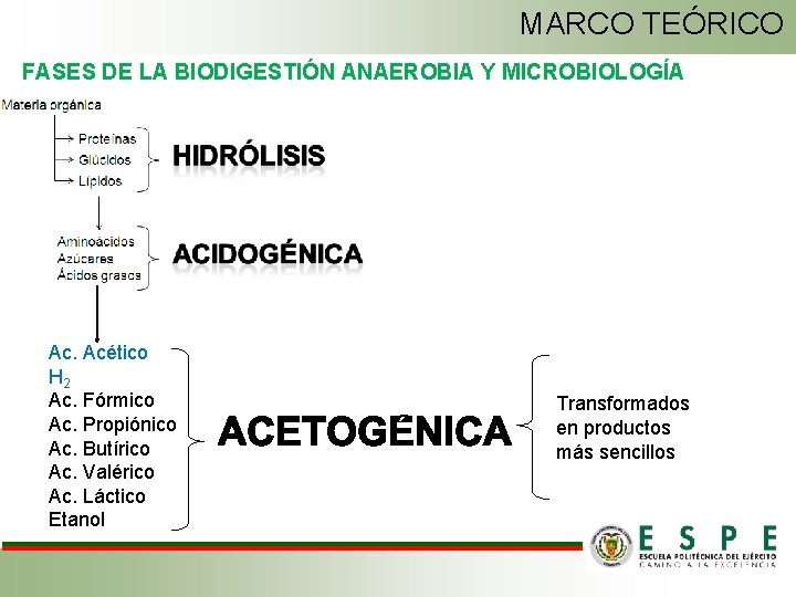MARCO TEÓRICO FASES DE LA BIODIGESTIÓN ANAEROBIA Y MICROBIOLOGÍA Ac. Acético H 2 Ac.